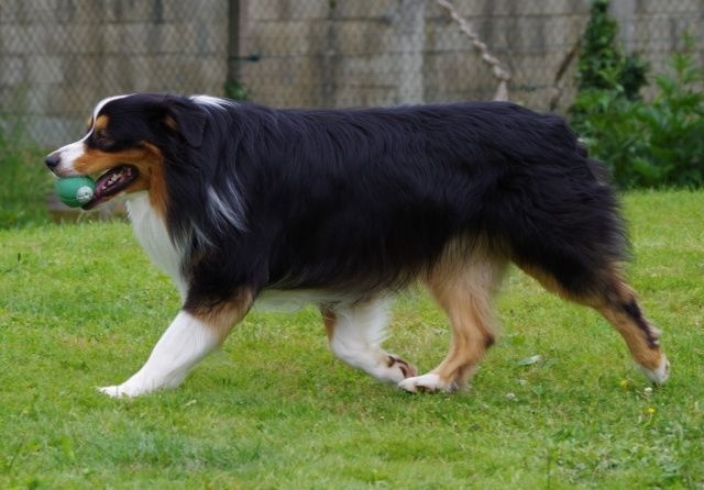 Publication : Of West Mystery Auteur : Of West Mystery