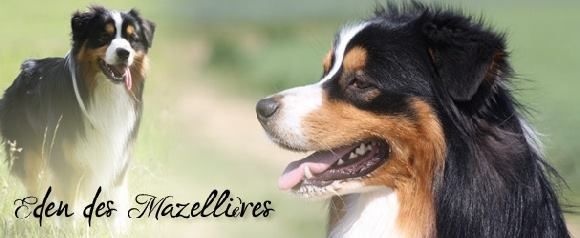 Publication : Of West Mystery Auteur : Of West Mystery