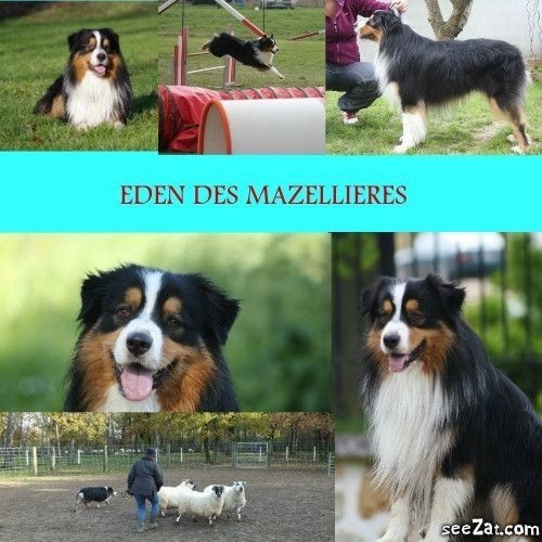 Publication : Of West Mystery Auteur : Of West Mystery