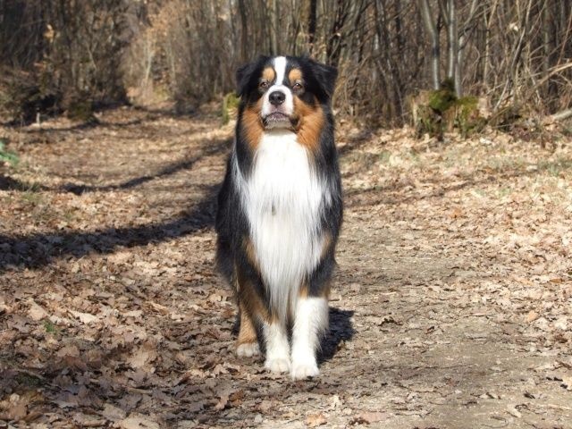 Publication : Of West Mystery Auteur : Of West Mystery