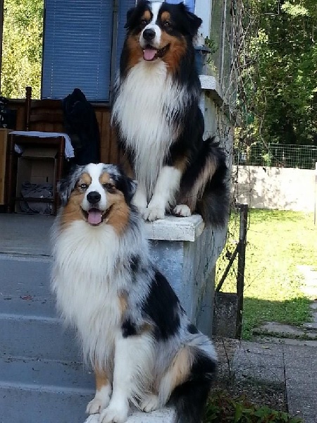 Publication : Of West Mystery Auteur : Of West Mystery