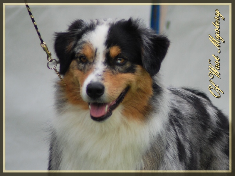 Ghost of circus de l'Orée des charmois - 3ème excellent