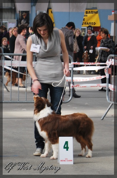 Earth song red crow de l'Attrapeur de rêves - 4ème EXCELLENT
