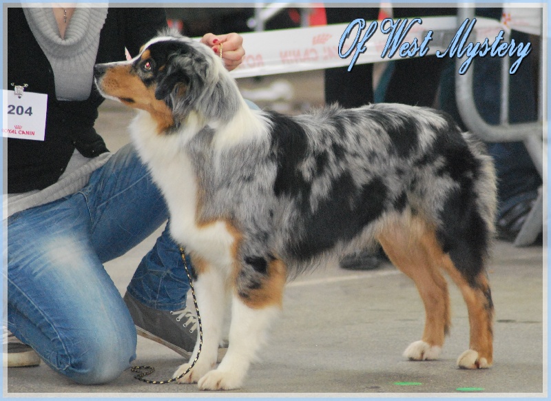 Ghost of circus de l'Orée des charmois - 4ème excellent (sur 13 engagées)