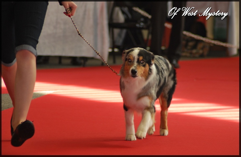 Ghost of circus de l'Orée des charmois - Excellent