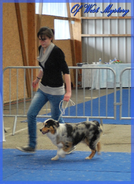 Ghost of circus de l'Orée des charmois - Excellent (23 qualificatifs "excellent" sur 80 engagées)