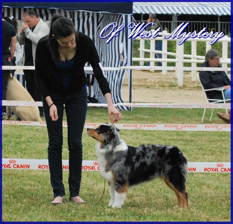 Ghost of circus de l'Orée des charmois - 4ème excellent