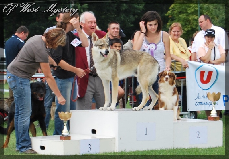 Earth song red crow de l'Attrapeur de rêves - 1er EXCELLENT + MEILLEUR JEUNE + 2ème MEILLEURE JEUNE DU GROUPE 1