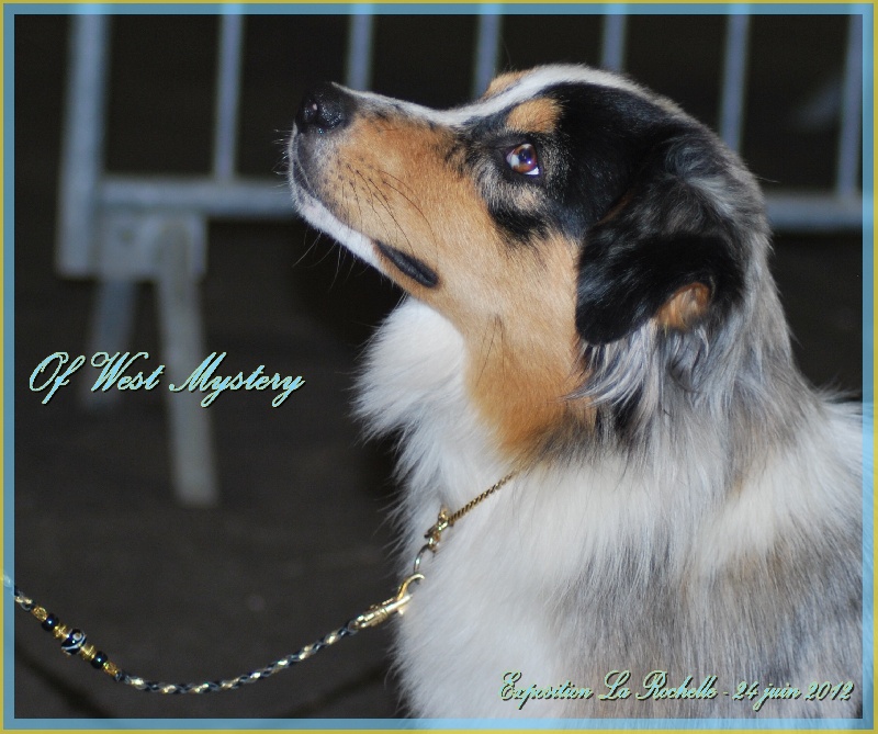 Ghost of circus de l'Orée des charmois - Excellent (non classé) + confirmation