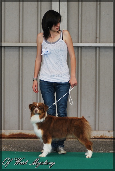 Earth song red crow de l'Attrapeur de rêves - EXCELLENT CLASSEE 6ème sur 10 classées (67 engagées)