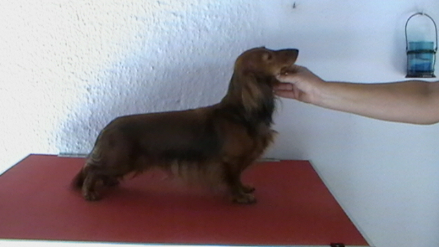 Publication : Basshubert Auteur : M.L.S.