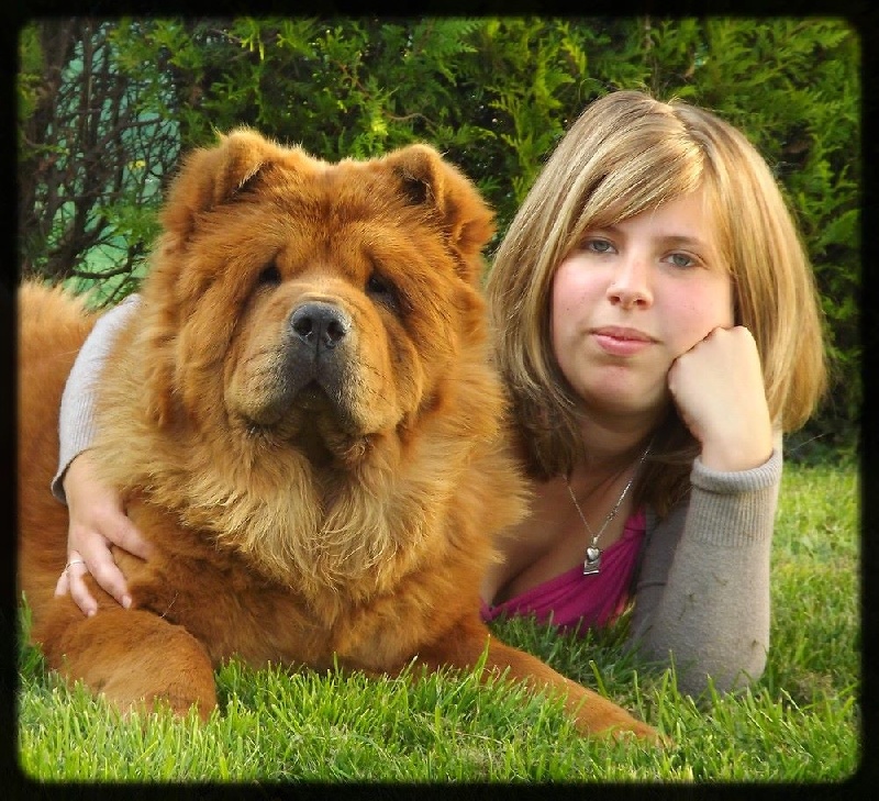 Des Pattes Impériales Illy's the first