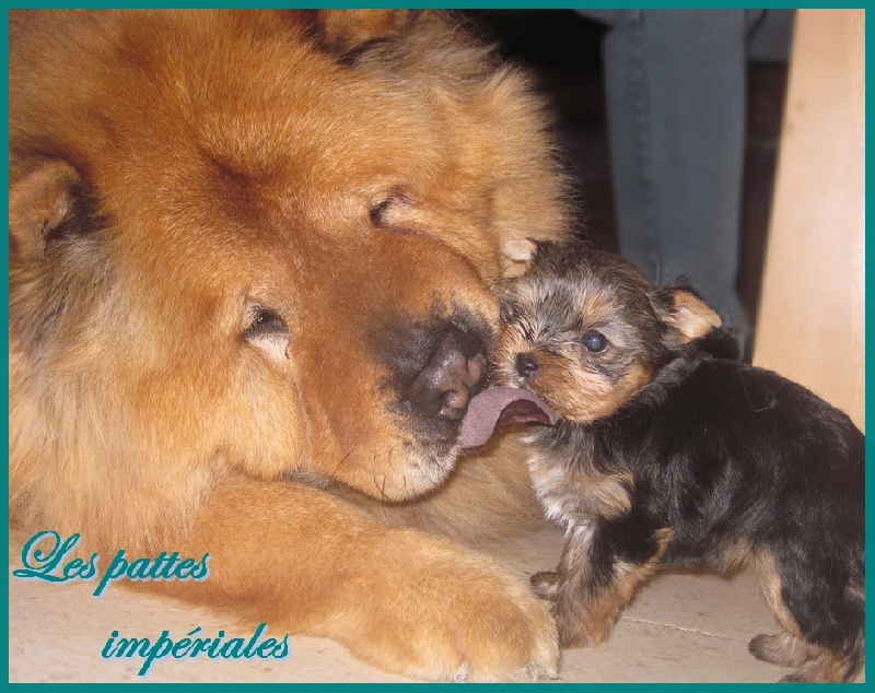 Flacky (Sans Affixe)