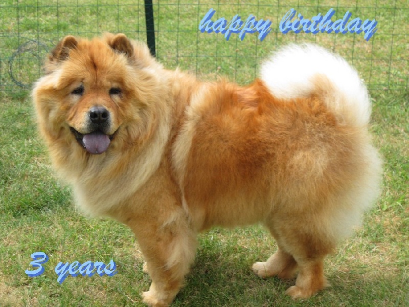 Flacky (Sans Affixe)