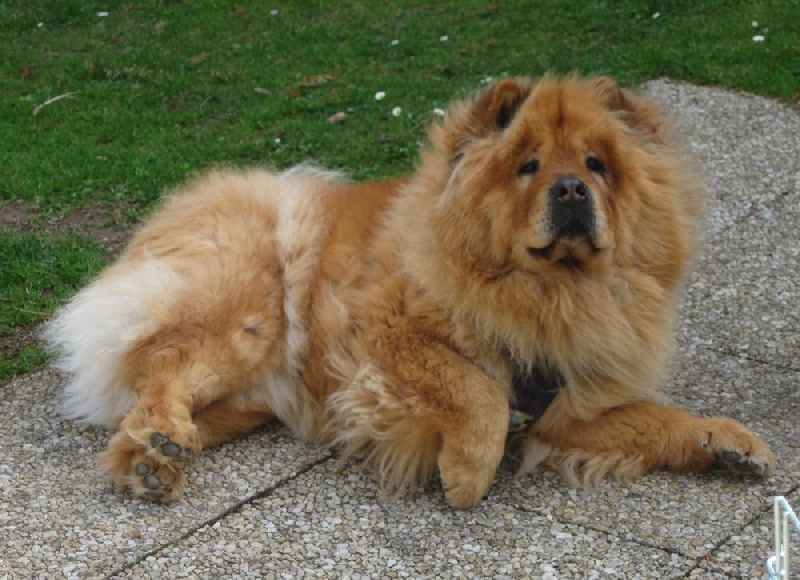 Flacky (Sans Affixe)