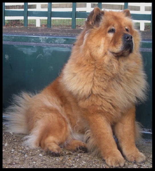 Flacky (Sans Affixe)