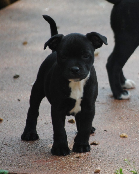 Publication : Des Grages Du Mahury Auteur : Anne-Sophie Vancoillie