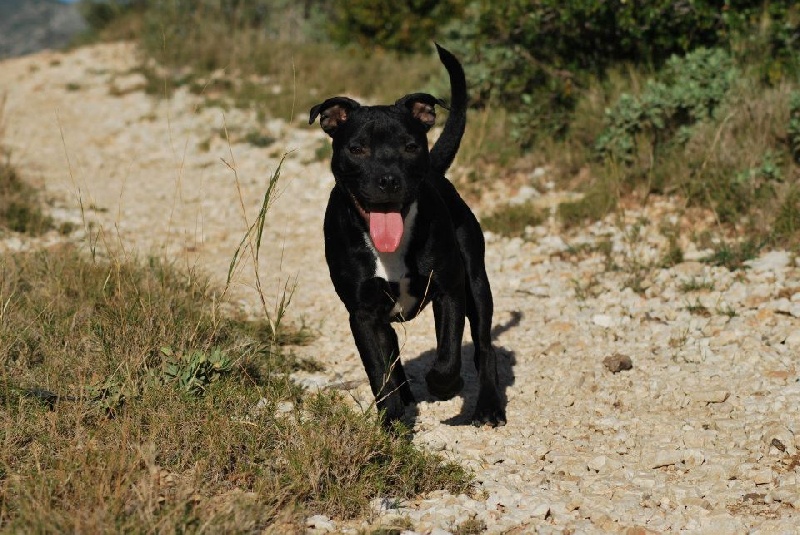 Publication : Des Grages Du Mahury Auteur : Anne-Sophie Vancoillie