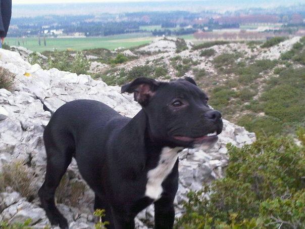 Publication : Des Grages Du Mahury Auteur : Anne-Sophie Vancoillie