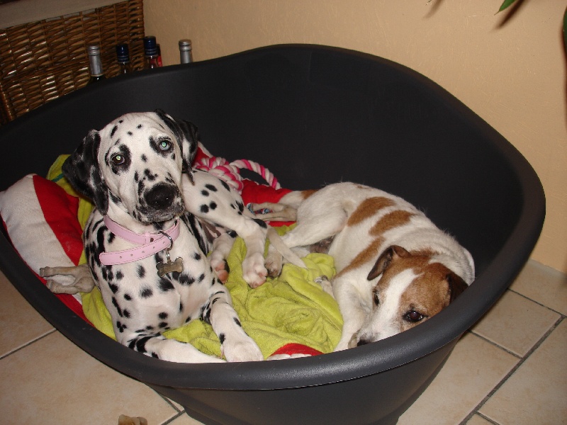 Delice du Moulin de L'Age