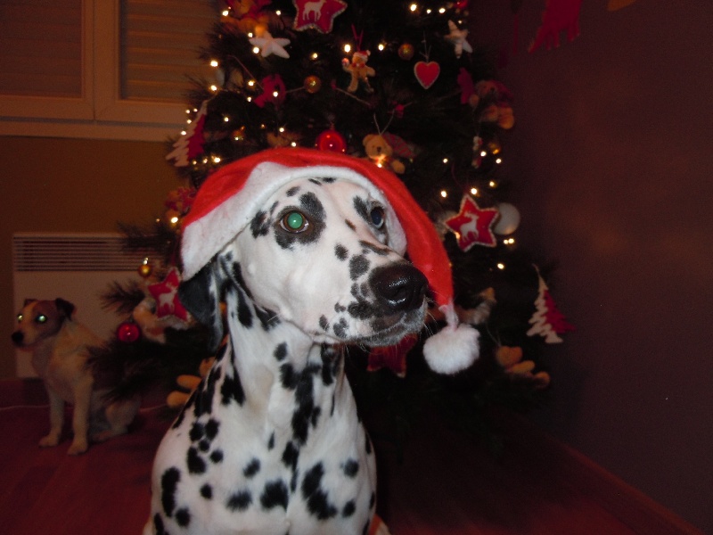 Delice du Moulin de L'Age