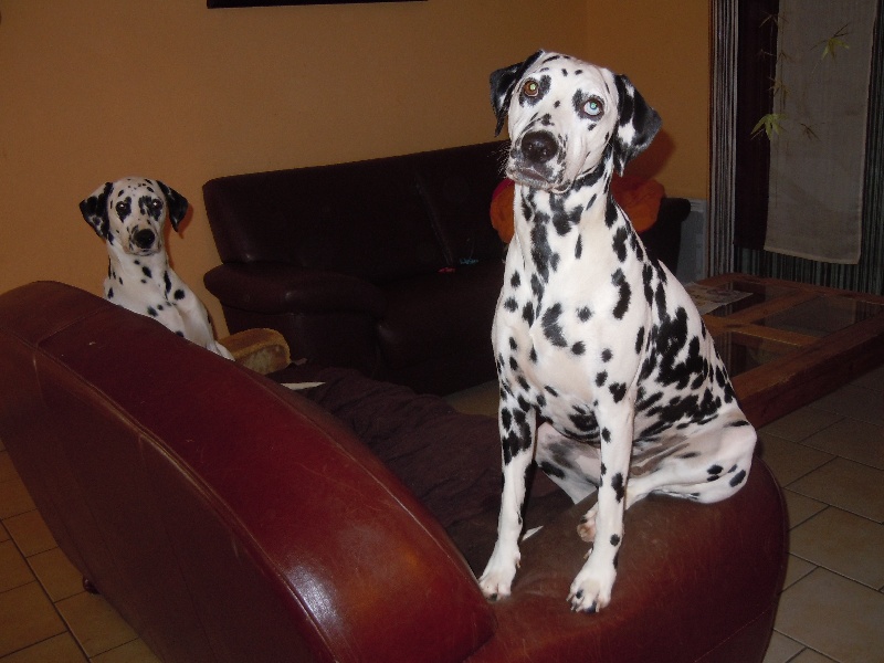 Delice du Moulin de L'Age