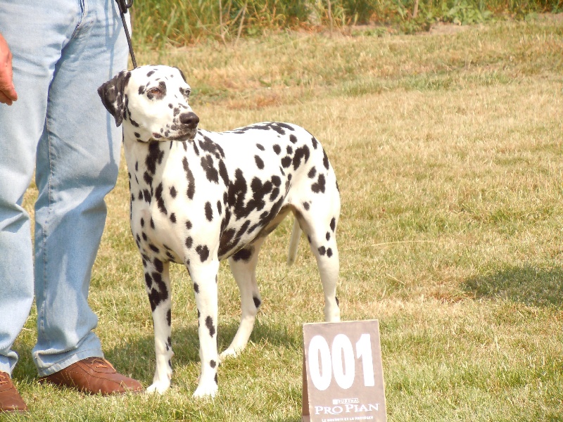 Delice du Moulin de L'Age