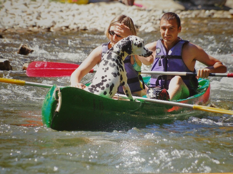 Delice du Moulin de L'Age