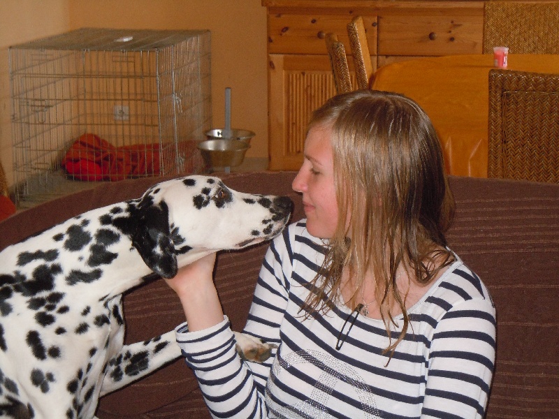 Delice du Moulin de L'Age