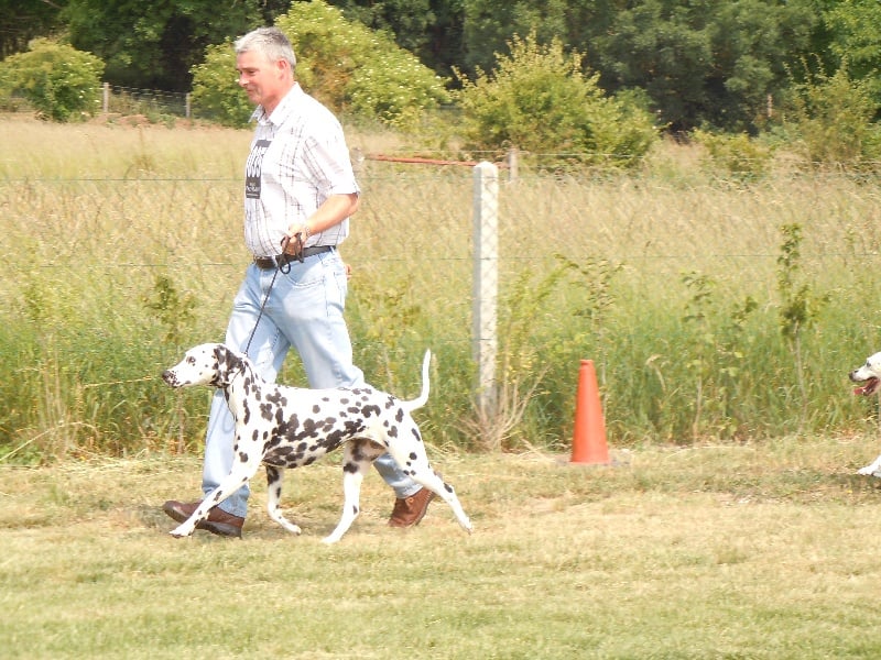 Delice du Moulin de L'Age