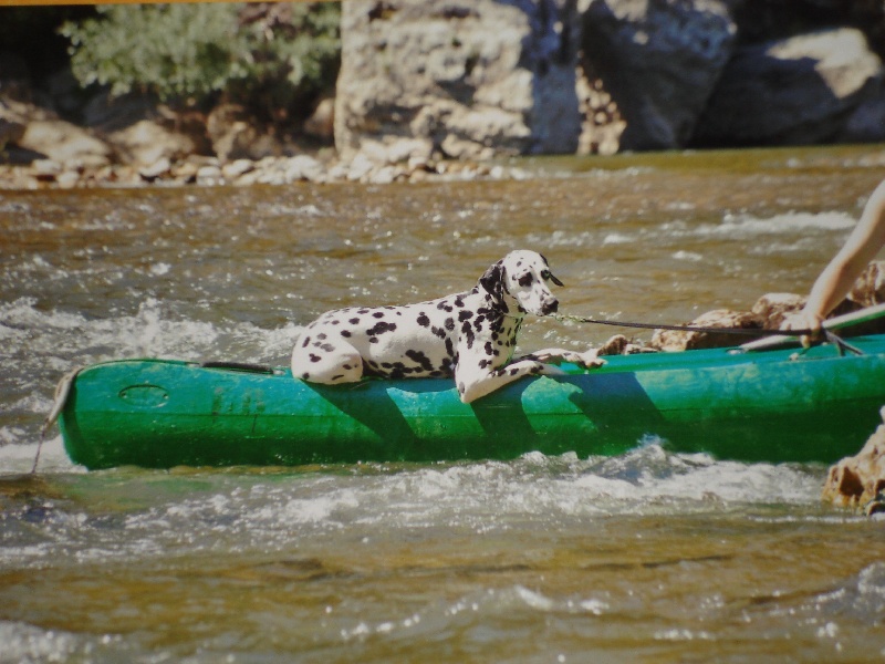 Delice du Moulin de L'Age