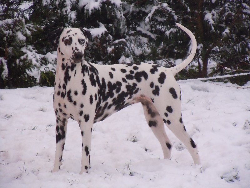 Delice du Moulin de L'Age