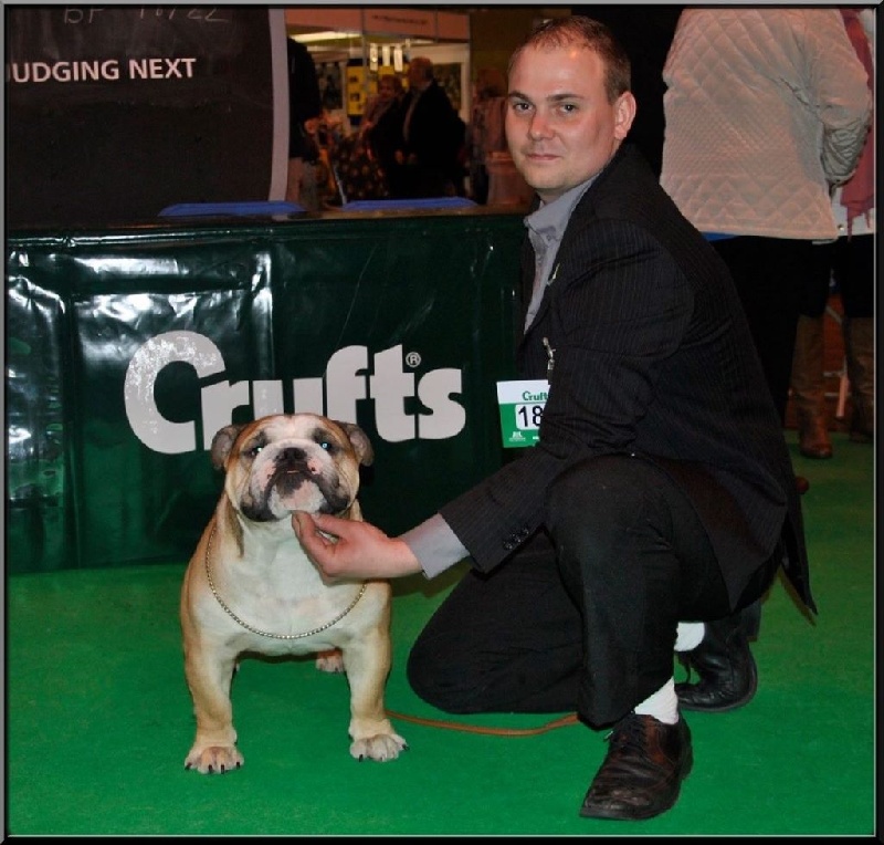 CH. Horse Gard Bulldog Happy together