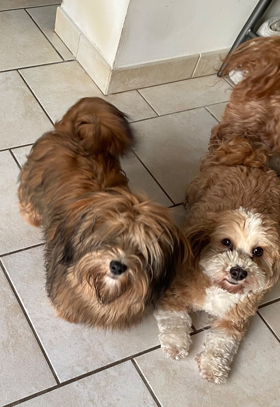 Ulianna Las Joyas Del Sol