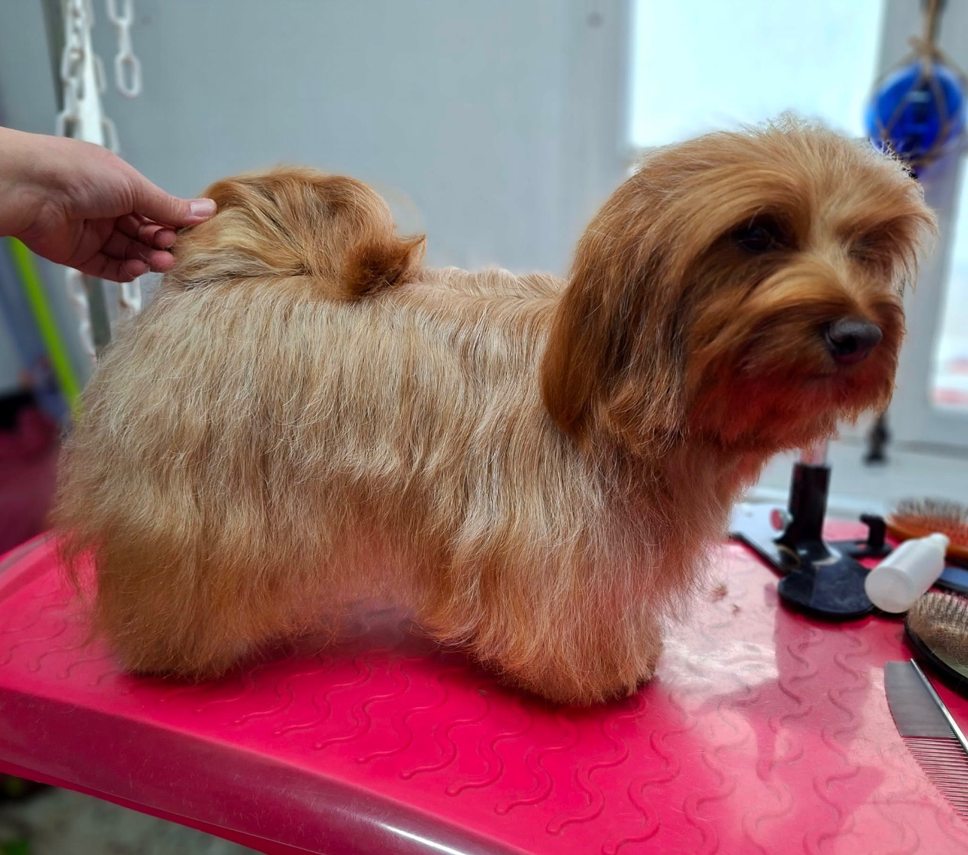 Ukraine de l eternel mitness