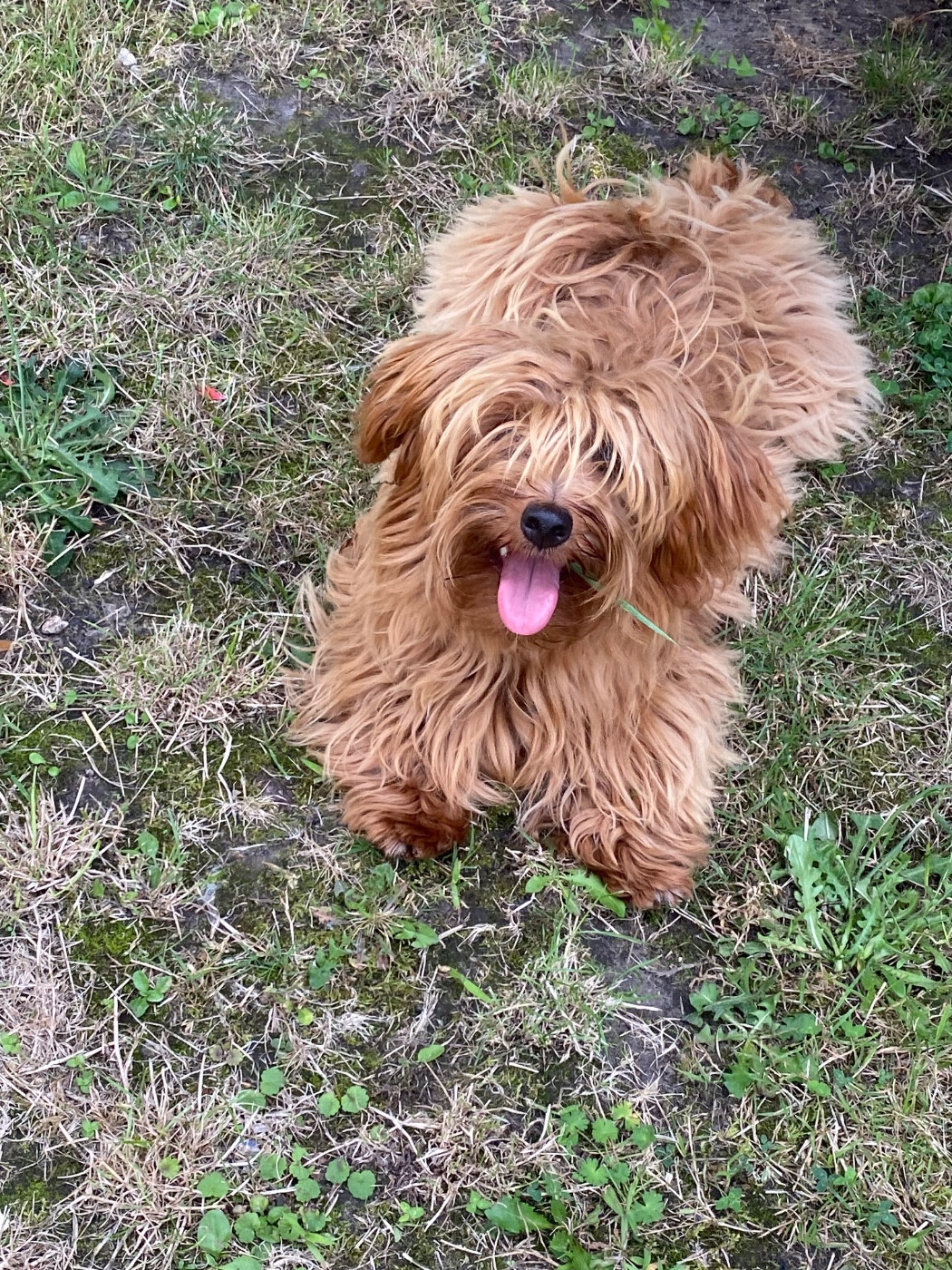 Ukraine de l eternel mitness