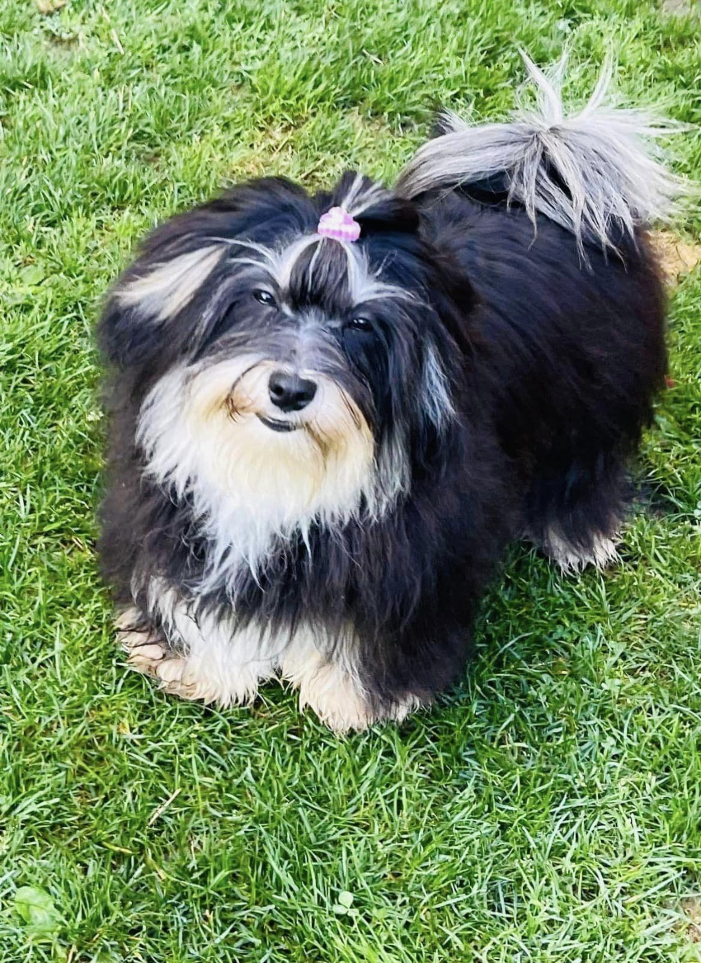 Trésor Du Royaume De Mon Prince Noir