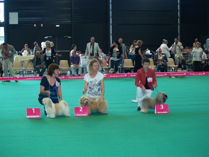 Garry white pearl of madagaskar - 2 ème exc RCACS RCACIB