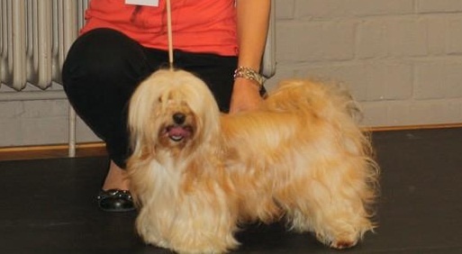 Degas dit dundy Von zirpen - RCAC