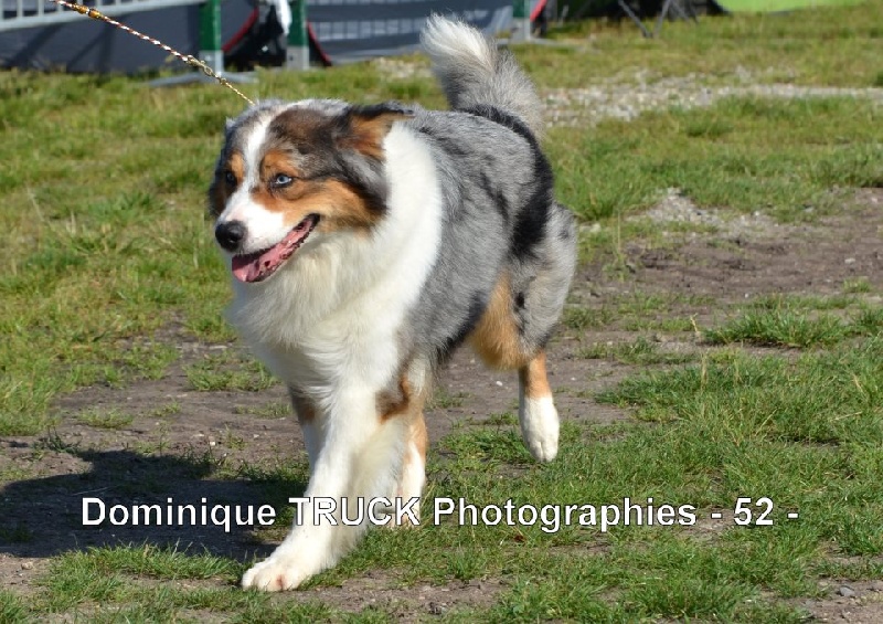 Publication : Du Domaine De La Verdurette