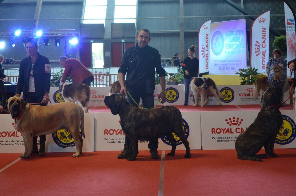 H'ardwen De La Flamengrie - 4e tres bon