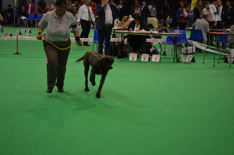 Jade De La Flamengrie - très prometteur