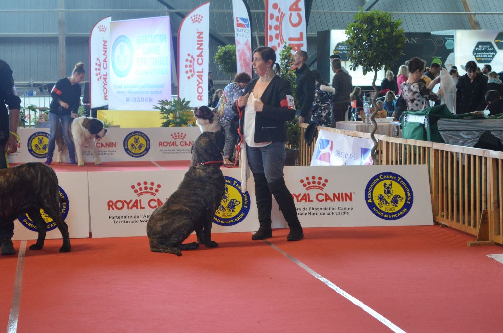 Jade De La Flamengrie - 3 exc