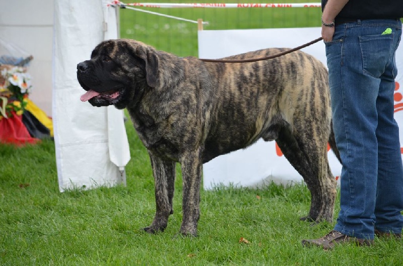 Helgé De La Flamengrie - 3ème classe inter mâle
