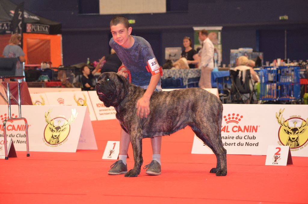 Jade De La Flamengrie - 1er exc CACS CACIB BOS