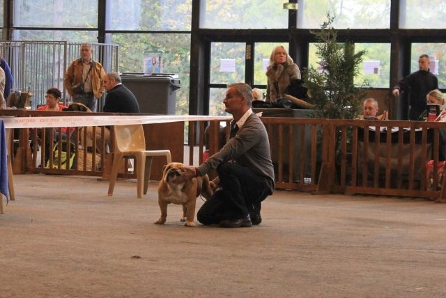 Ip'so (Sans Affixe) - Ex