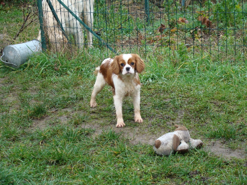 Publication : Aux Portes De Meuse Auteur : Moutillard Karine