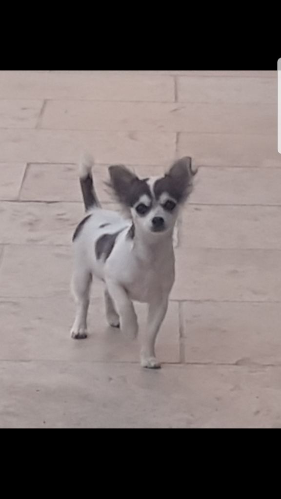 Publication : Slow But Sure