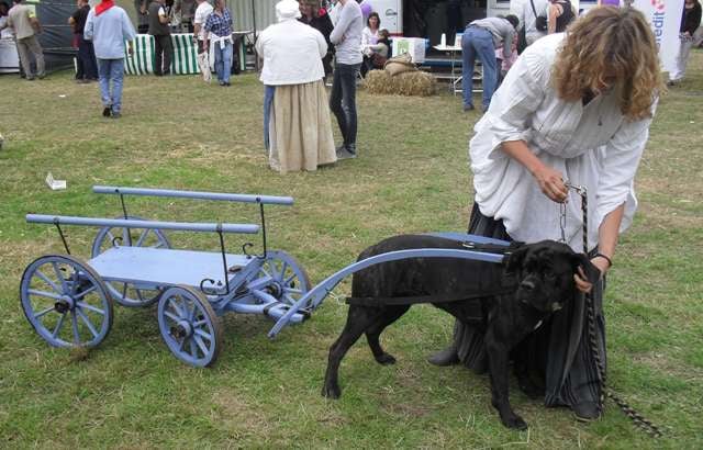Farah des Gardiens du Panthéon