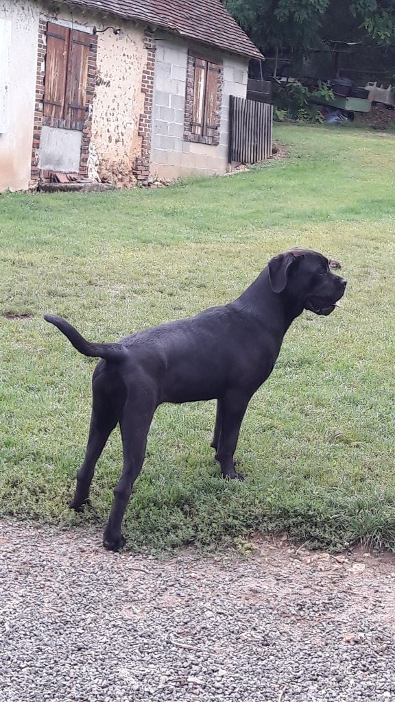 Mamamia De La Colline Du Bonheur